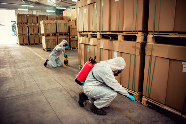 Best Pest Inspection Near Me  in Vamo, FL