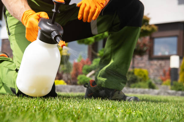 Best Mosquito Control Services  in Vamo, FL