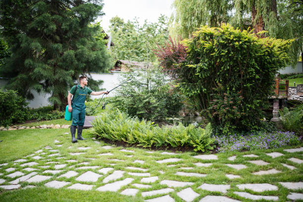 Best Ant Control Services  in Vamo, FL