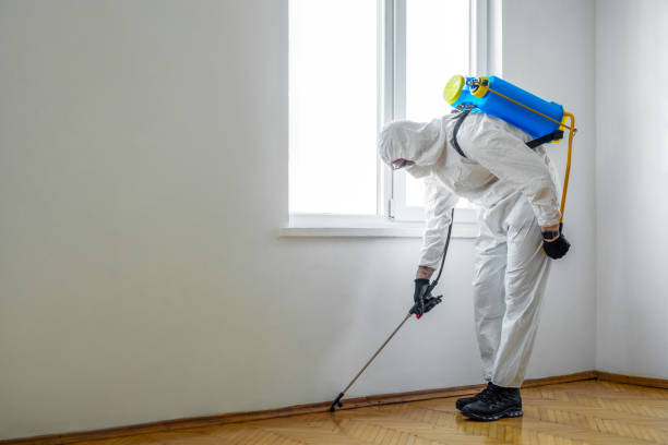 Best Cockroach Control Services  in Vamo, FL