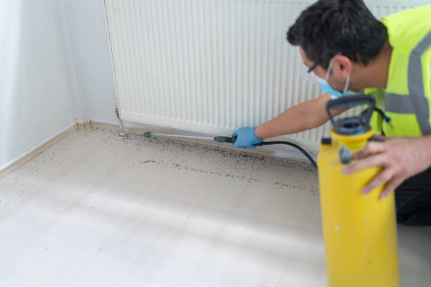 Best Pest Control Near Me in Vamo, FL